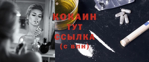 хмурый Няндома