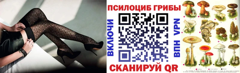Псилоцибиновые грибы ЛСД  mega зеркало  Никольск 